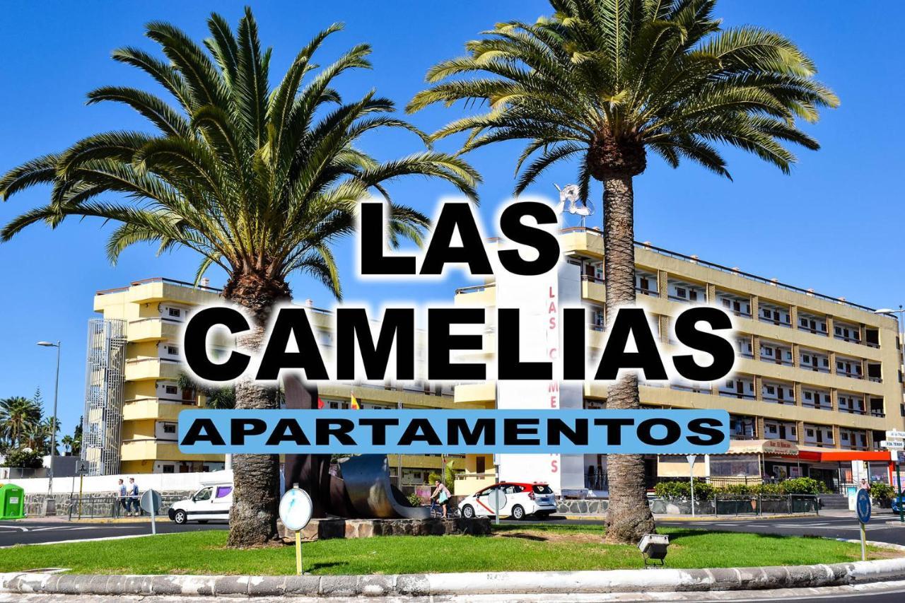 Las Camelias Apartments 普拉亚戴尔雷安格莱斯 外观 照片