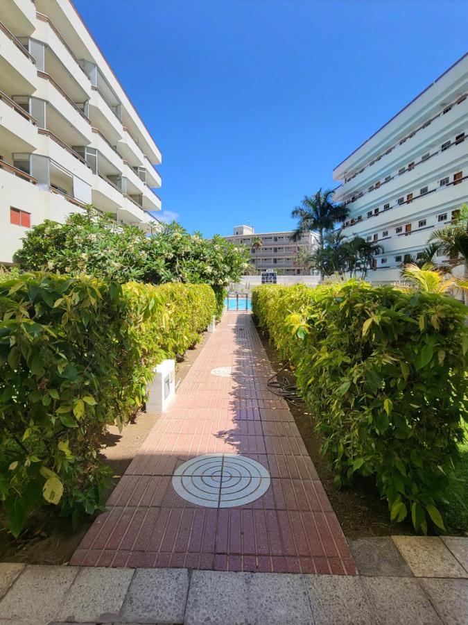 Las Camelias Apartments 普拉亚戴尔雷安格莱斯 外观 照片