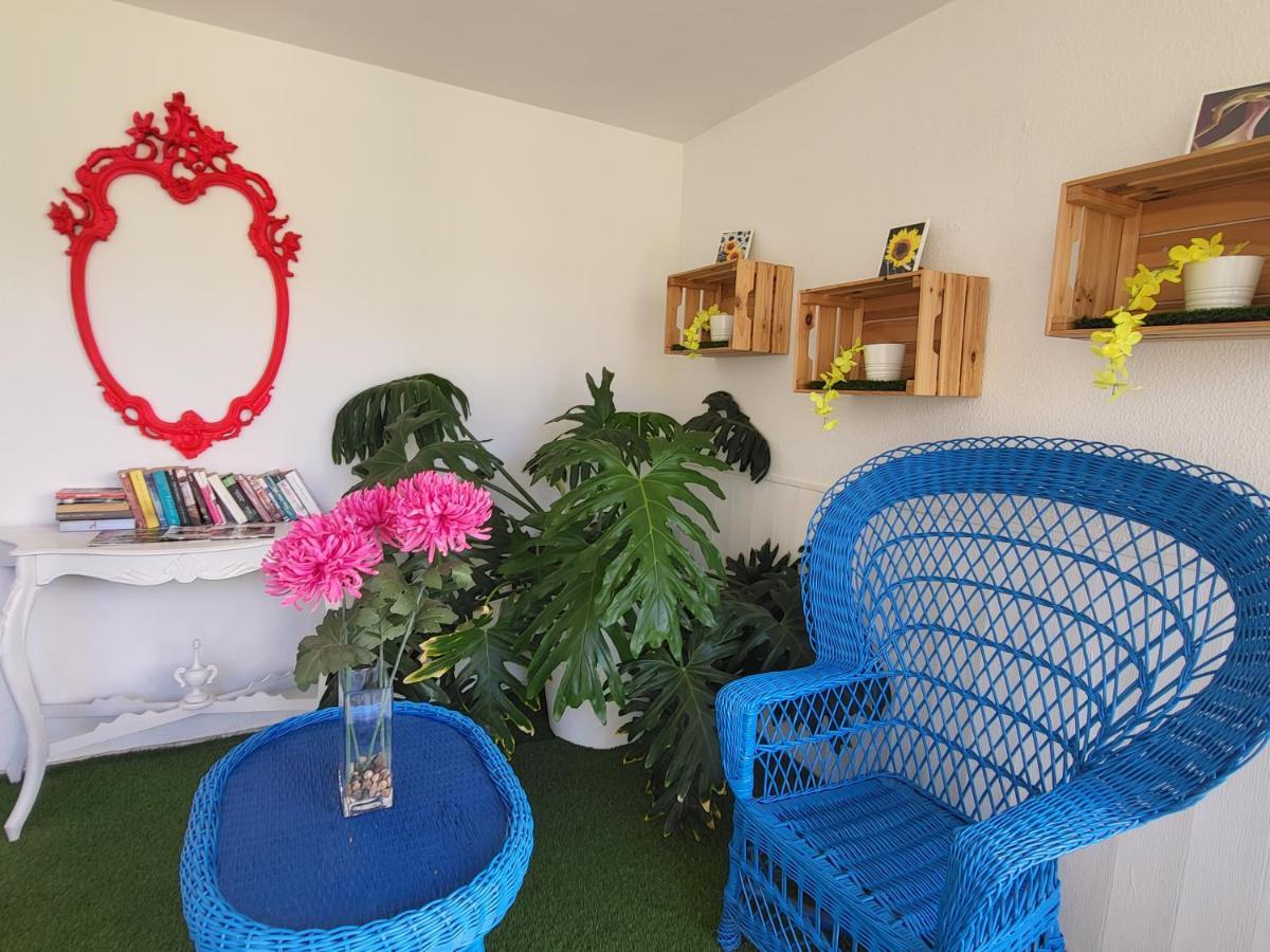 Las Camelias Apartments 普拉亚戴尔雷安格莱斯 外观 照片