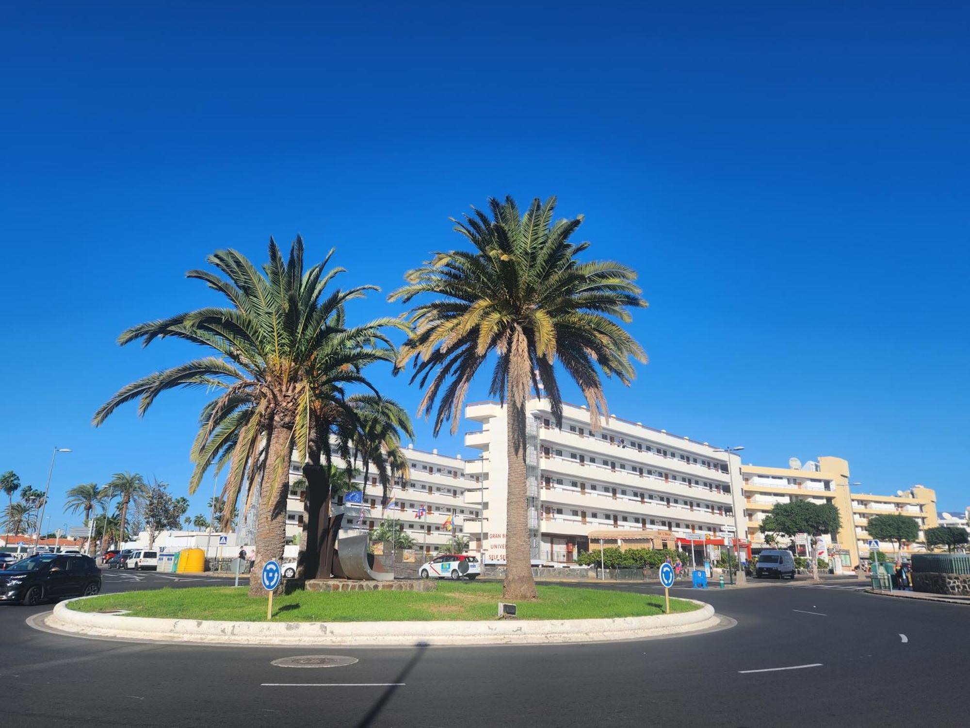 Las Camelias Apartments 普拉亚戴尔雷安格莱斯 外观 照片