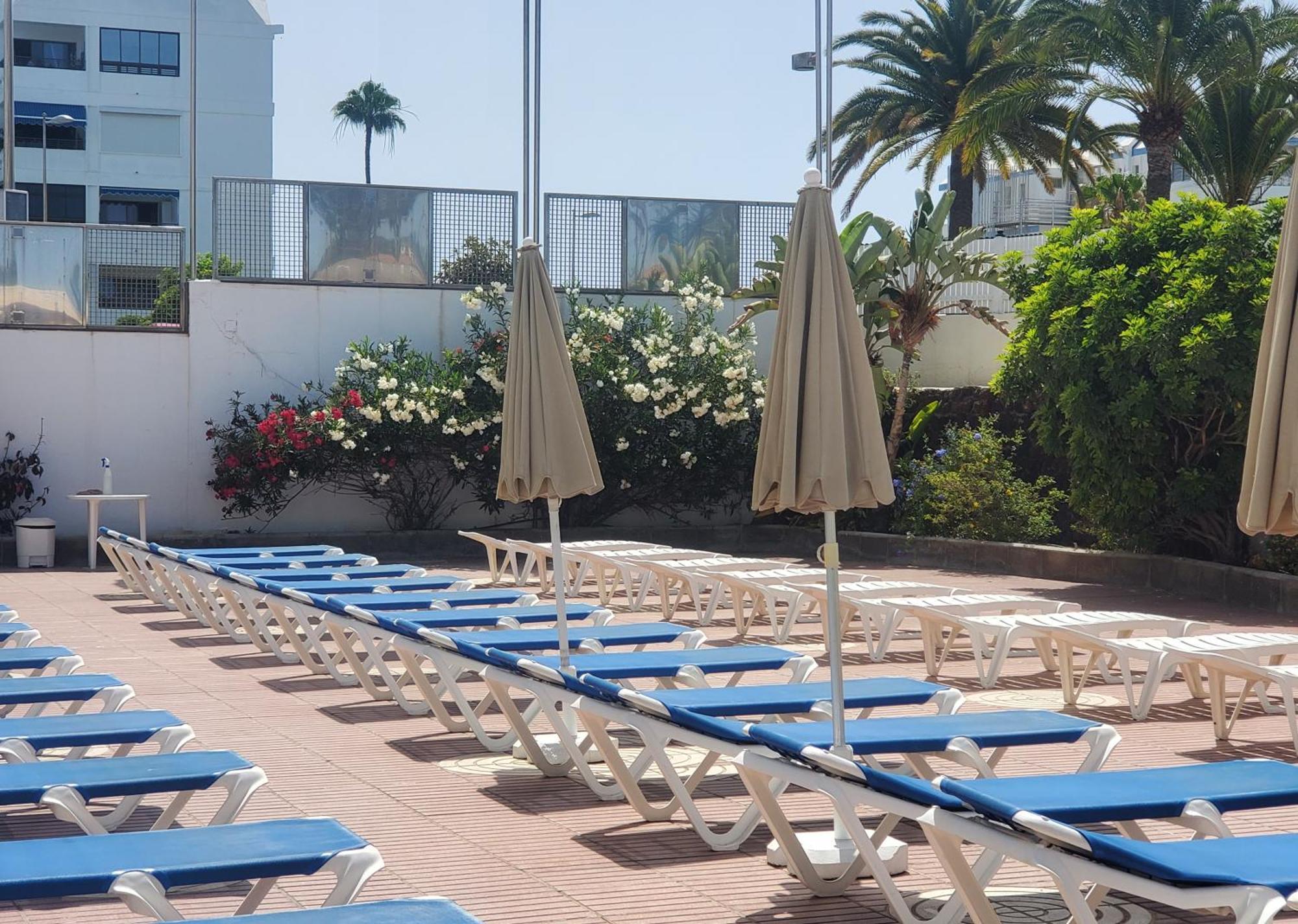 Las Camelias Apartments 普拉亚戴尔雷安格莱斯 外观 照片