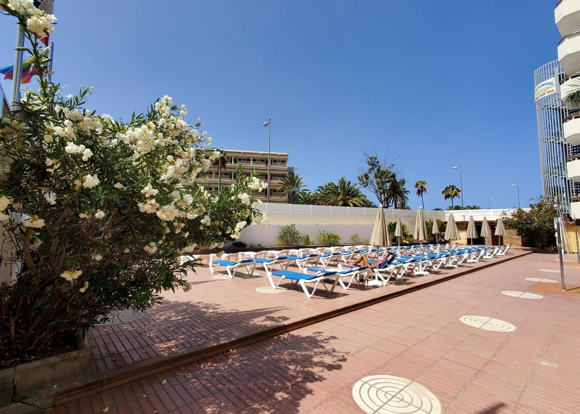 Las Camelias Apartments 普拉亚戴尔雷安格莱斯 外观 照片