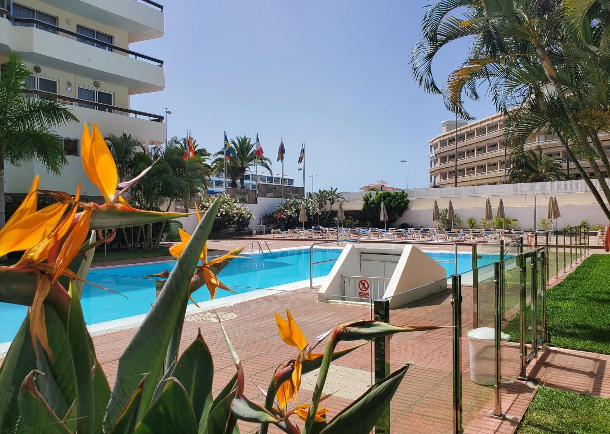 Las Camelias Apartments 普拉亚戴尔雷安格莱斯 外观 照片